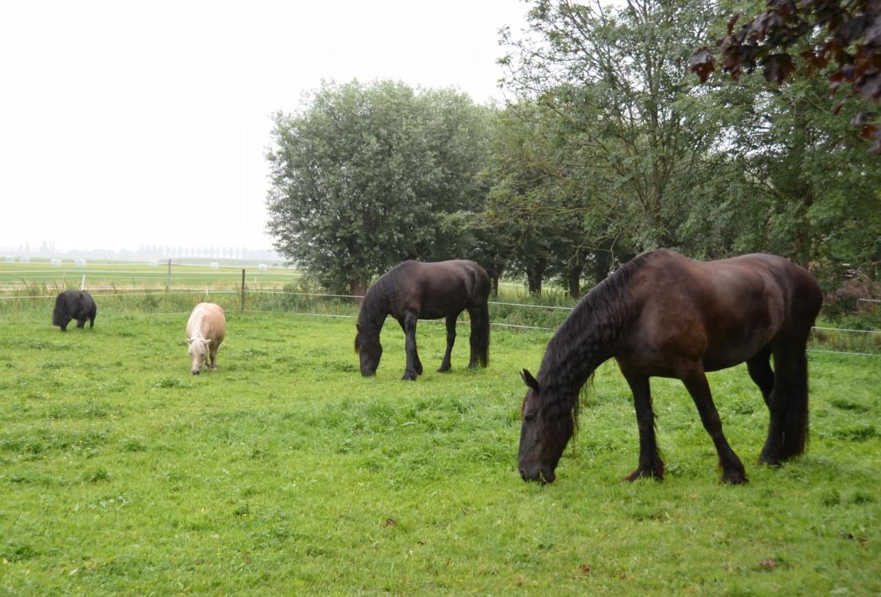 Apartment Het Friesche Paard Purmer Bagian luar foto
