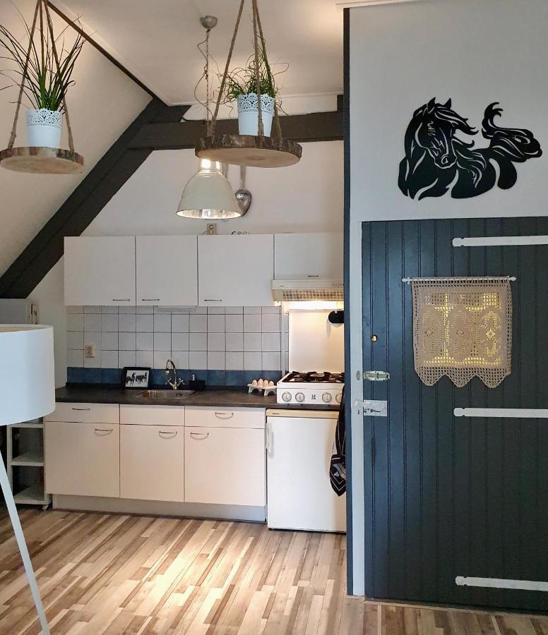 Apartment Het Friesche Paard Purmer Bagian luar foto