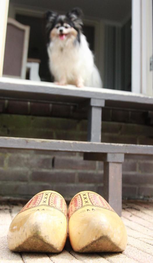 Apartment Het Friesche Paard Purmer Bagian luar foto